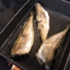 絶品簡単おつまみ ハタハタ一夜干しフライパン焼き レシピ 作り方 By えだ豆カシューナッツ 楽天レシピ 絶品簡単おつまみ ハタハタ一夜干しフライパン焼き レシピ 作り方 By えだ豆カシューナッツ 楽天レシピ